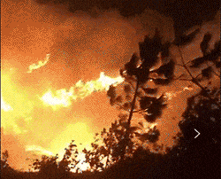 1729212155702_6711aefbc285222ce9106e7d.gif